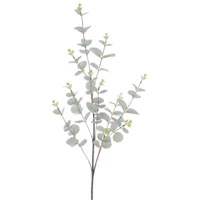 EUCALYPTUS VERDE CLARO
