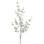 EUCALYPTUS VERDE CLARO