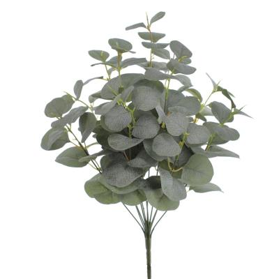 RAMO EUCALYPTUS VERDE