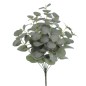 RAMO EUCALYPTUS VERDE