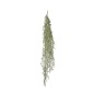 COLGANTE TILLANTIA 140 CM VERDE