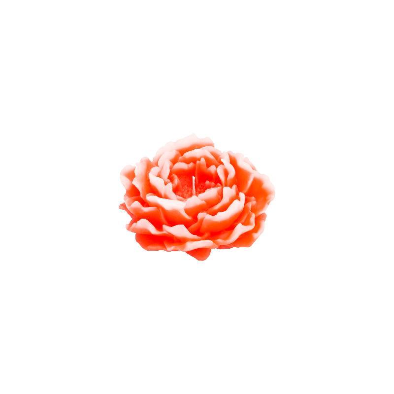 VELA FLOR PEONIA CORAL 13.3 X 6.5 CM