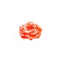 VELA FLOR PEONIA CORAL 13.3 X 6.5 CM