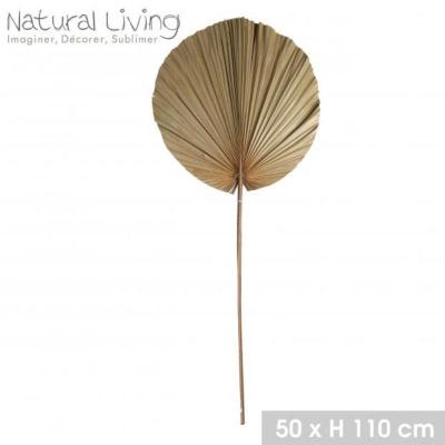 HOJA DE PALMERA NATURAL LIVING