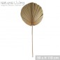 HOJA DE PALMERA NATURAL LIVING