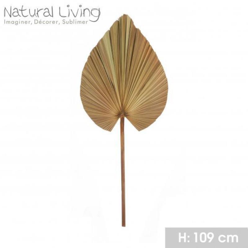 HOJA DE PALMERA NATURAL LIVING