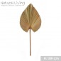 HOJA DE PALMERA NATURAL LIVING