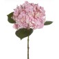 VARA HORTENSIA ROSA