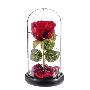 ROSA ROJA ETERNA LEDS CUPULA CRISTAL 20 CM