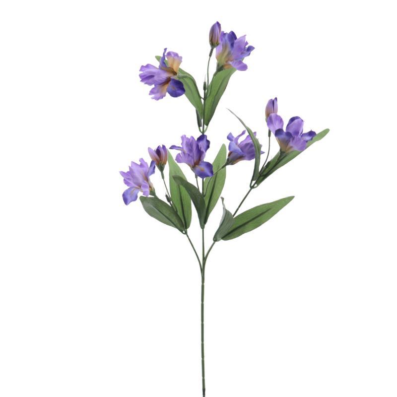 IRIS AZUL