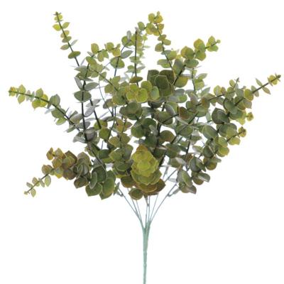 RAMO EUCALYPTUS VERDE