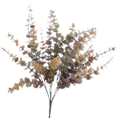 RAMO EUCALYPTUS CAMEL