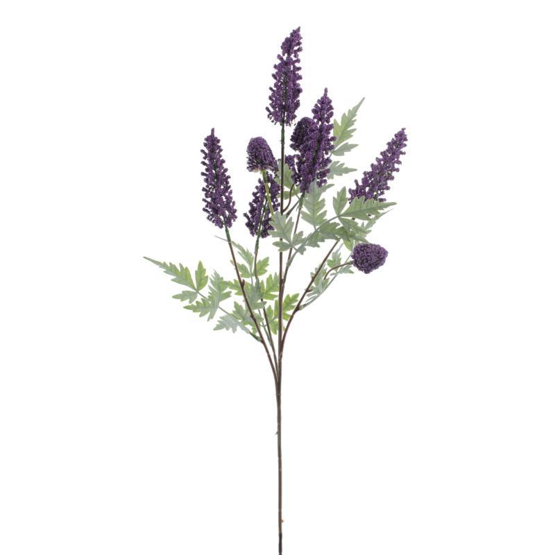 LAVANDA LAVANDA