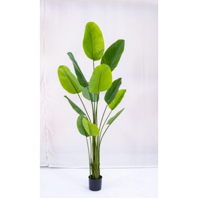 PLANTA ARTIFICIAL 200 CM