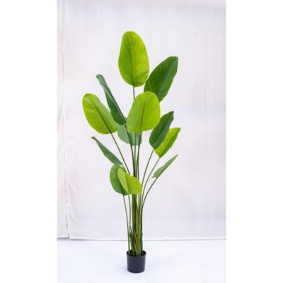 PLANTA ARTIFICIAL 200 CM