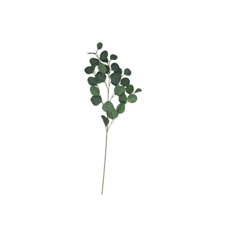 VARA EUCALIPTO X4 X30-90 CM VERDE