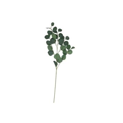 VARA EUCALIPTO X4 X30-90 CM VERDE