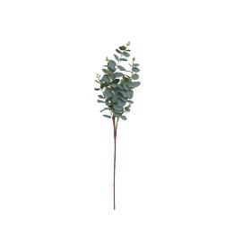 VARA EUCALIPTO X11 X90-90 CM VERDE CL