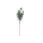 VARA EUCALIPTO X11 X90-90 CM VERDE CL