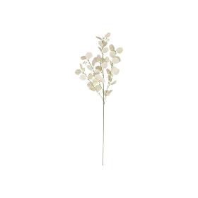 VARA EUCALIPTO X4 X40-105 CM BEIGE