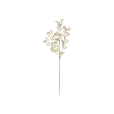 VARA EUCALIPTO X4 X40-105 CM BEIGE