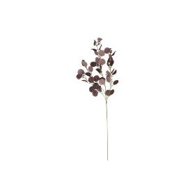 VARA EUCALIPTO X4 X40-105 CM BURDEOS
