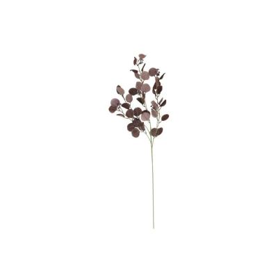 VARA EUCALIPTO X4 X40-105 CM BURDEOS