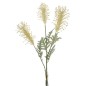 VARA PROTEA X3 CREMA