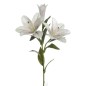 VARA LILIUM X3 TACTO CREMA