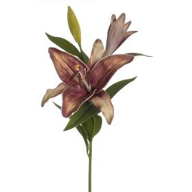 VARA LILIUM CASABLANCA NARANJA