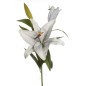 VARA LILIUM CASABLANCA AZUL