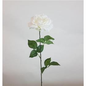 ROSA X 1 70 X 14 CM CREMA