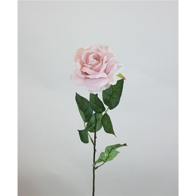 ROSA X 1 70 X 14 CM MALVA
