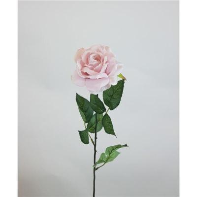 ROSA X 1 70 X 14 CM MALVA