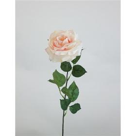 ROSA X 1 70 X 14 CM CHAMPANG
