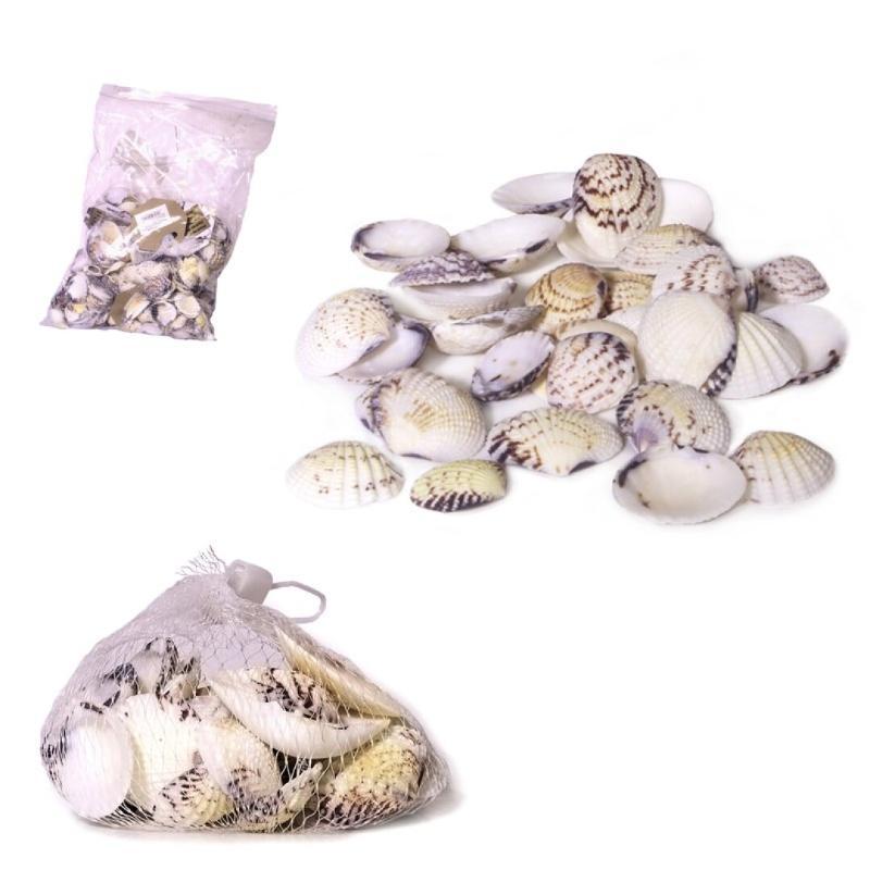 PIEDRAS DECORATIVAS CONCHAS DE MAR
