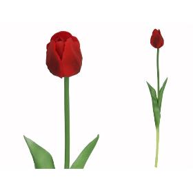VARA TULIPAN R/TOUCH 47 CM ROJO