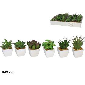 MACETA PLAST SUCULENTAS 11-15 CM