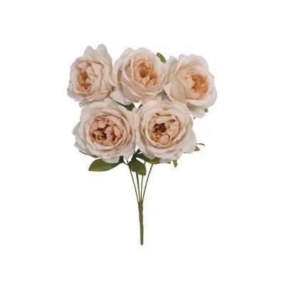 RAMO PEONIA AUTUMN X5-40 CM BEIGE