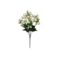 RAMO RANUNKULUS X9 X18-51 CM CREMA