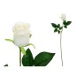 VARA CAPULLO CLASIC (S) 65 CM BEIGE