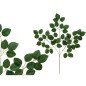 PAQ. 6 VARA HOJA ROSAL X 45- 69 CM