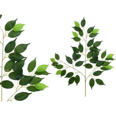 PAQ. 12 VARA HOJA FICUS X42 -63 CM VERDE