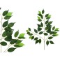 PAQ. 12 VARA HOJA FICUS X42 -63 CM VERDE