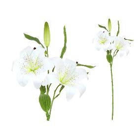 VARA LILIUM R/TOUCH X3-70 CM CREMA