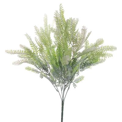RAMO ACACIA BLANCO VERDE