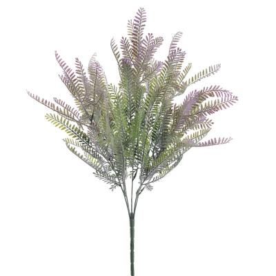 RAMO ACACIA MALVA