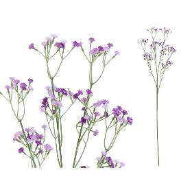 PAQ. 6 VARA GYPSO BICOLOR X62 CM VIOLETA