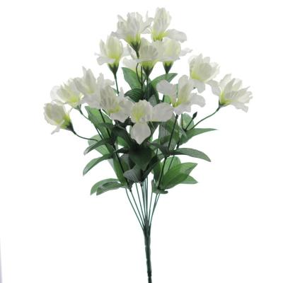 RAMO IRIS CREMA