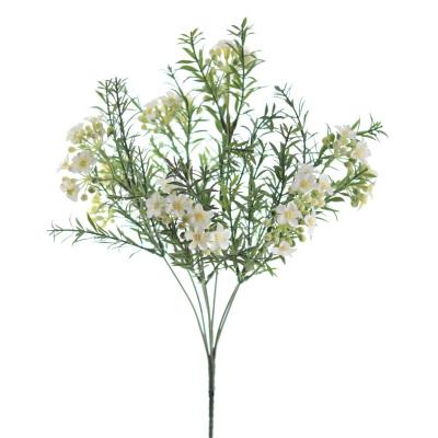 RAMO FLORECILLAS X7 CREMA